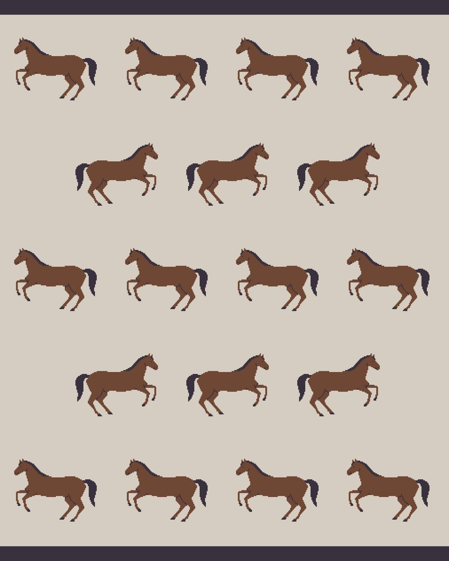 Horse Blanket