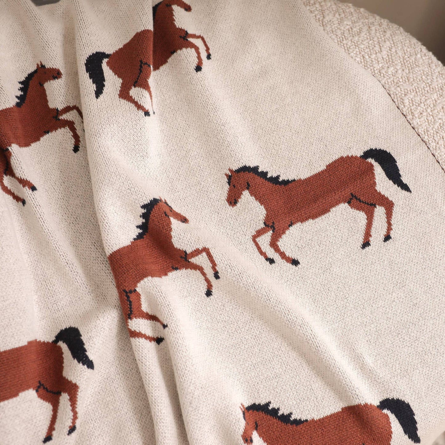 Horse Blanket