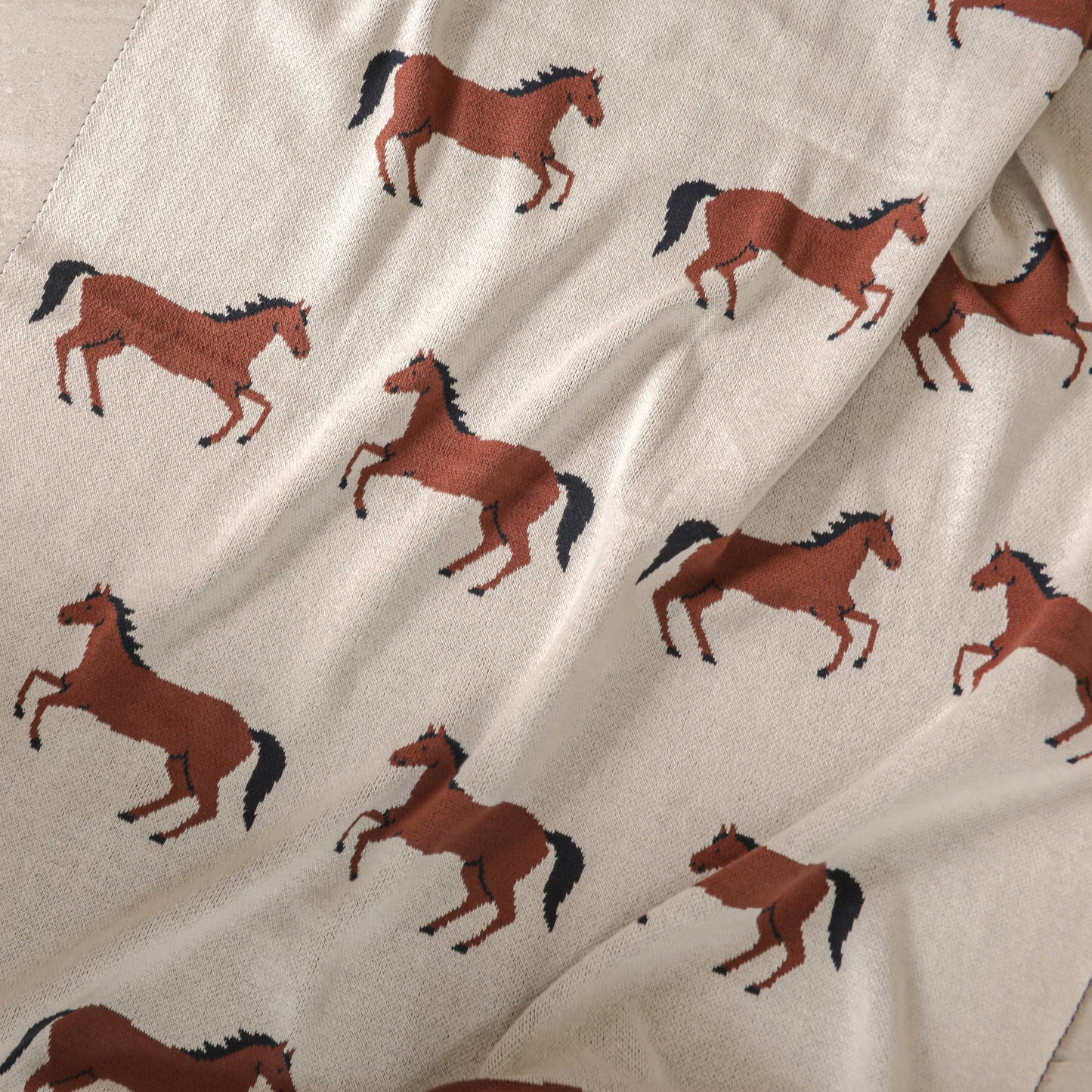 Horse Blanket