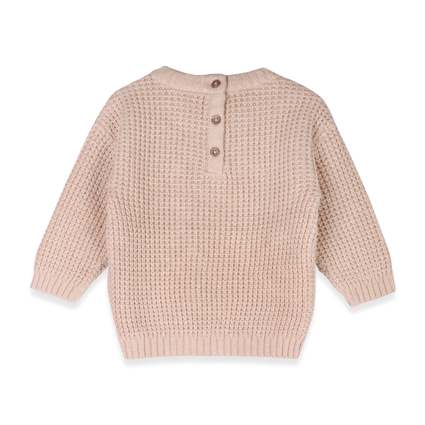 Little Dude Embroidered Pullover (Organic)