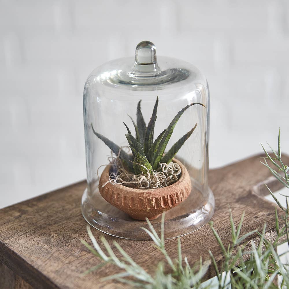 Miniature Cloche