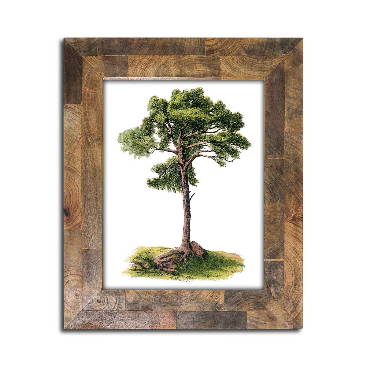 Wood frame