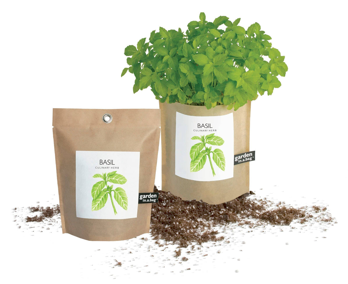 Basil