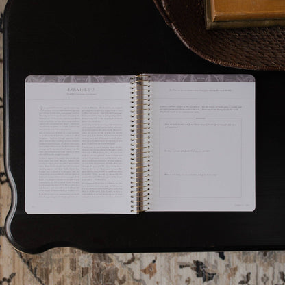 A Year in the Bible |vol. 3