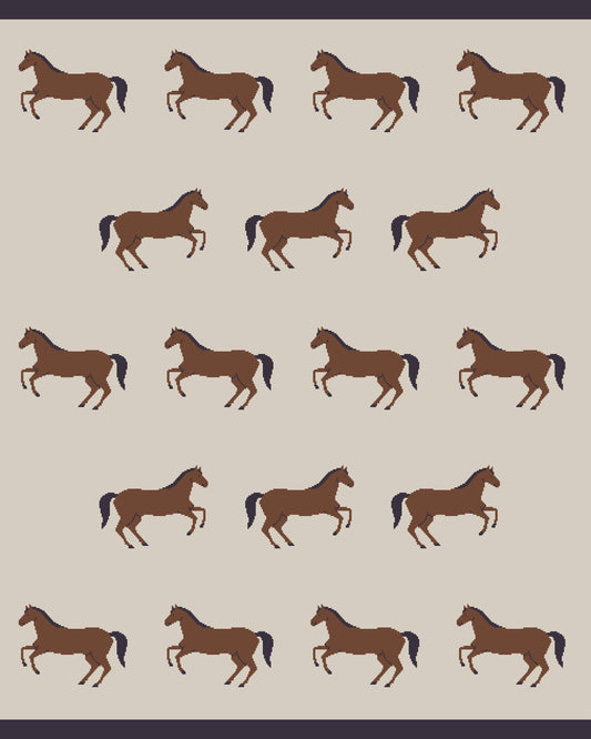 Horse Blanket