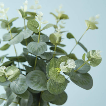 Eucalyptus Bush