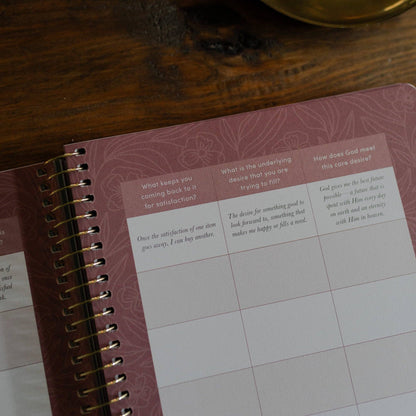 Is God Enough for Me? Bible Study