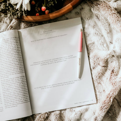 More Than Anything Bible Study