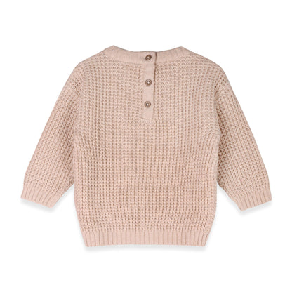 Little Dude Embroidered Pullover (Organic)