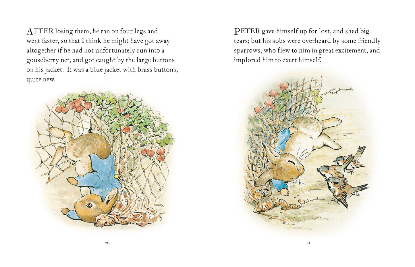 The Tale Of Peter Rabbit