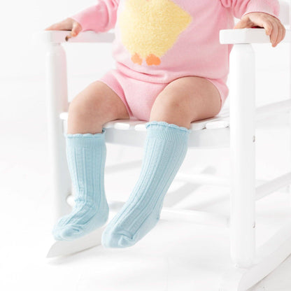 Robin Egg