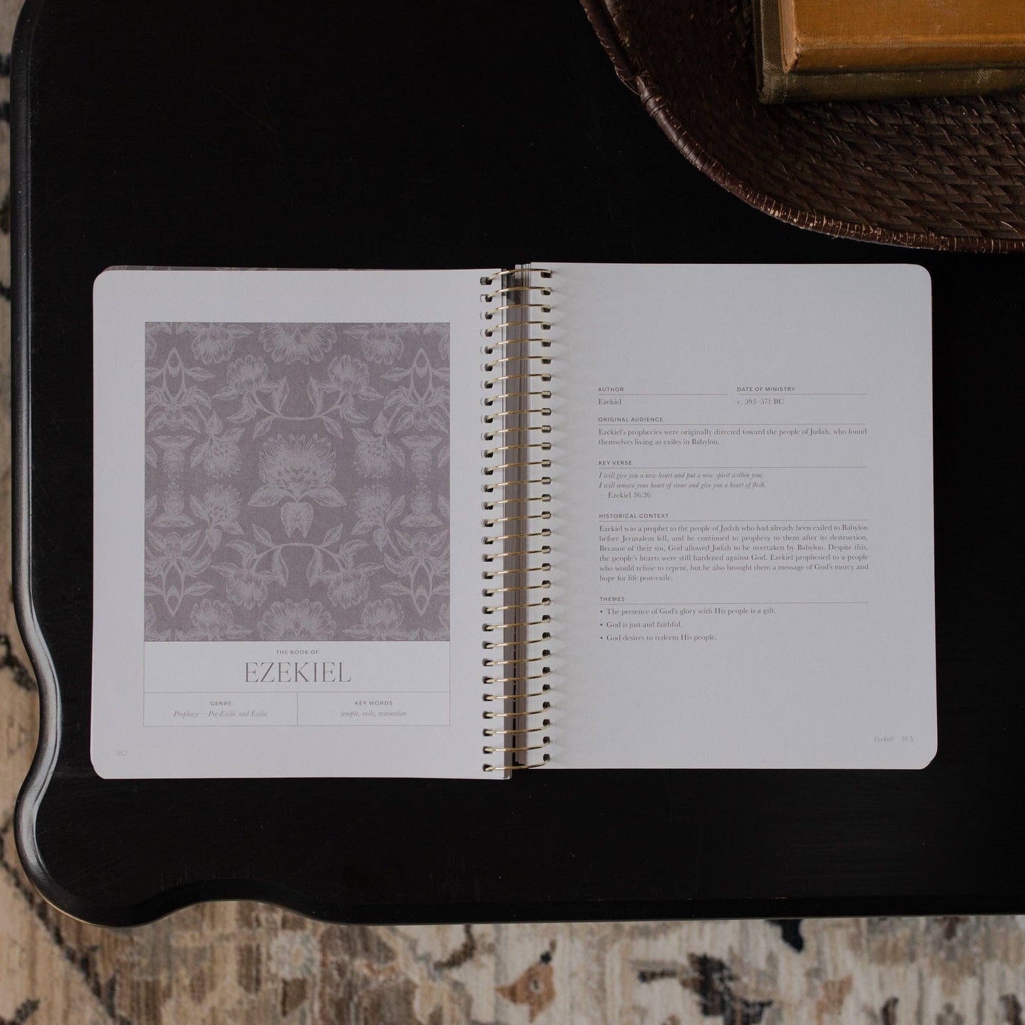 A Year in the Bible |vol. 3