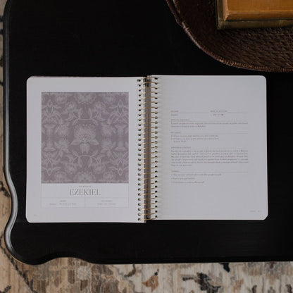 A Year in the Bible |vol. 3