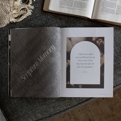 Job | Holding to Hope When Life Falls Apart