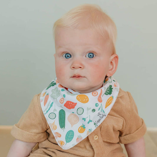 Baby Bandana Bibs - Veggies