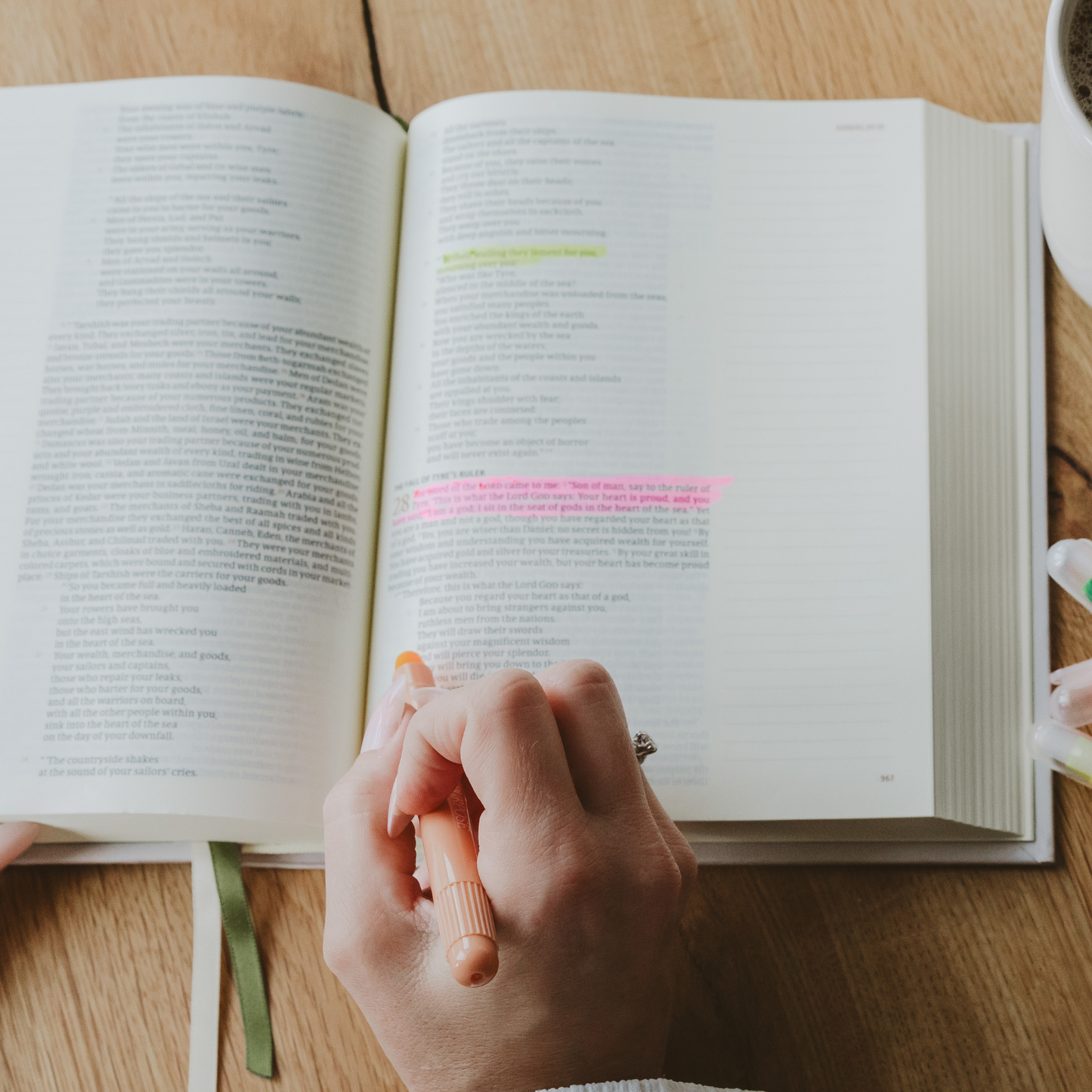 Bible Highlighter