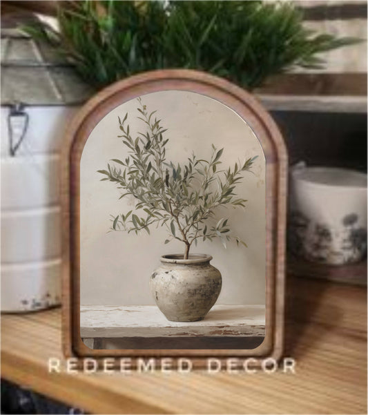 Olive Tree
