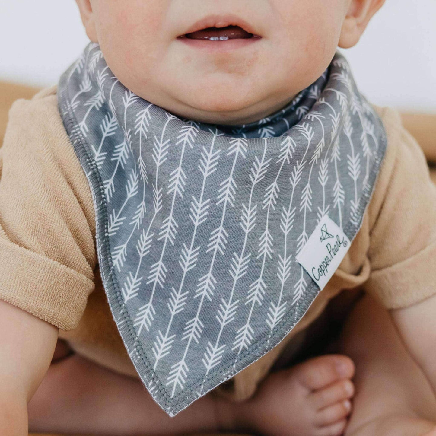 Baby Bandana Bibs - Bridger