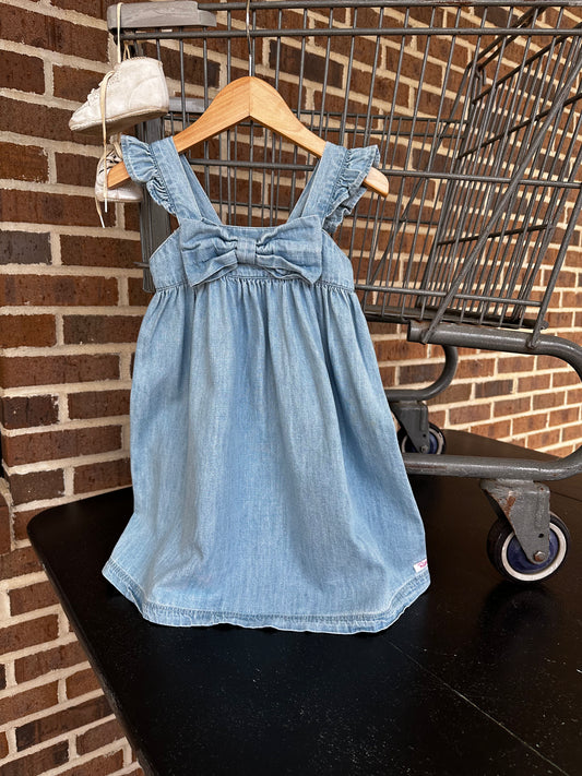 Denim Flutter Dress
