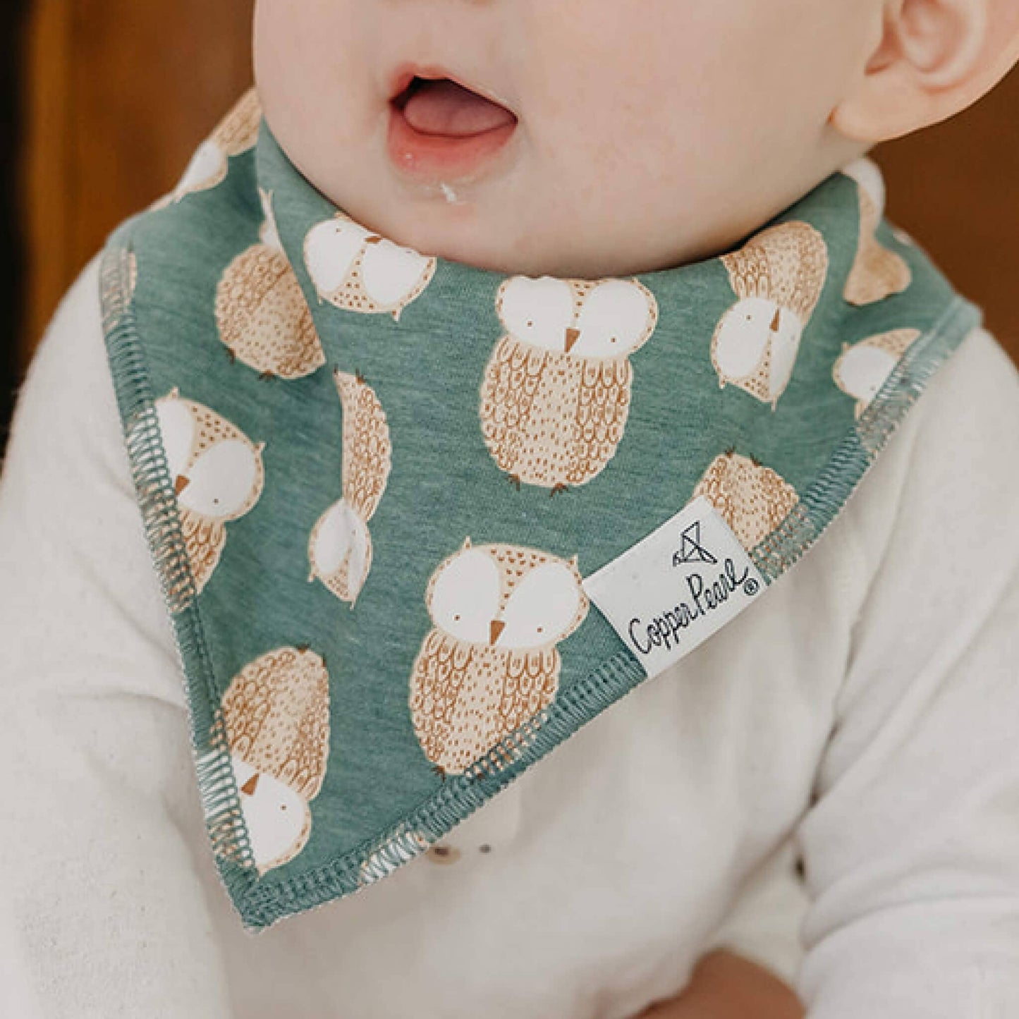 Baby Bandana Bibs - Ivy