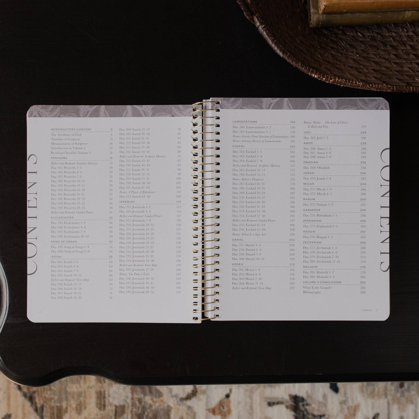 A Year in the Bible |vol. 3