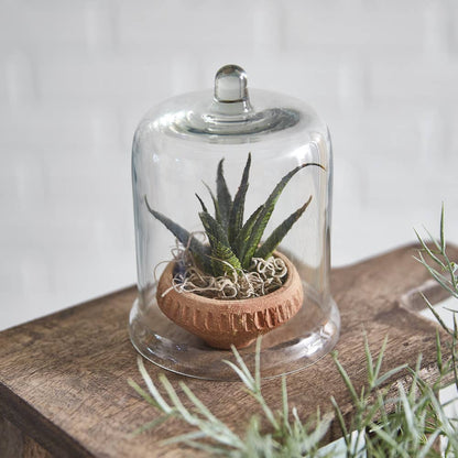 Miniature Cloche