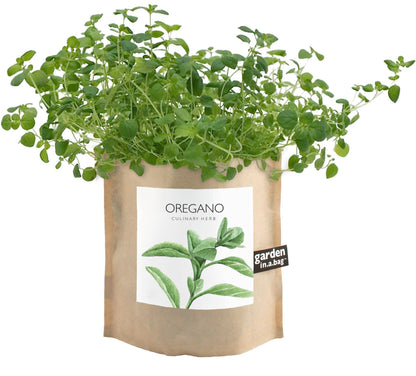 Oregano