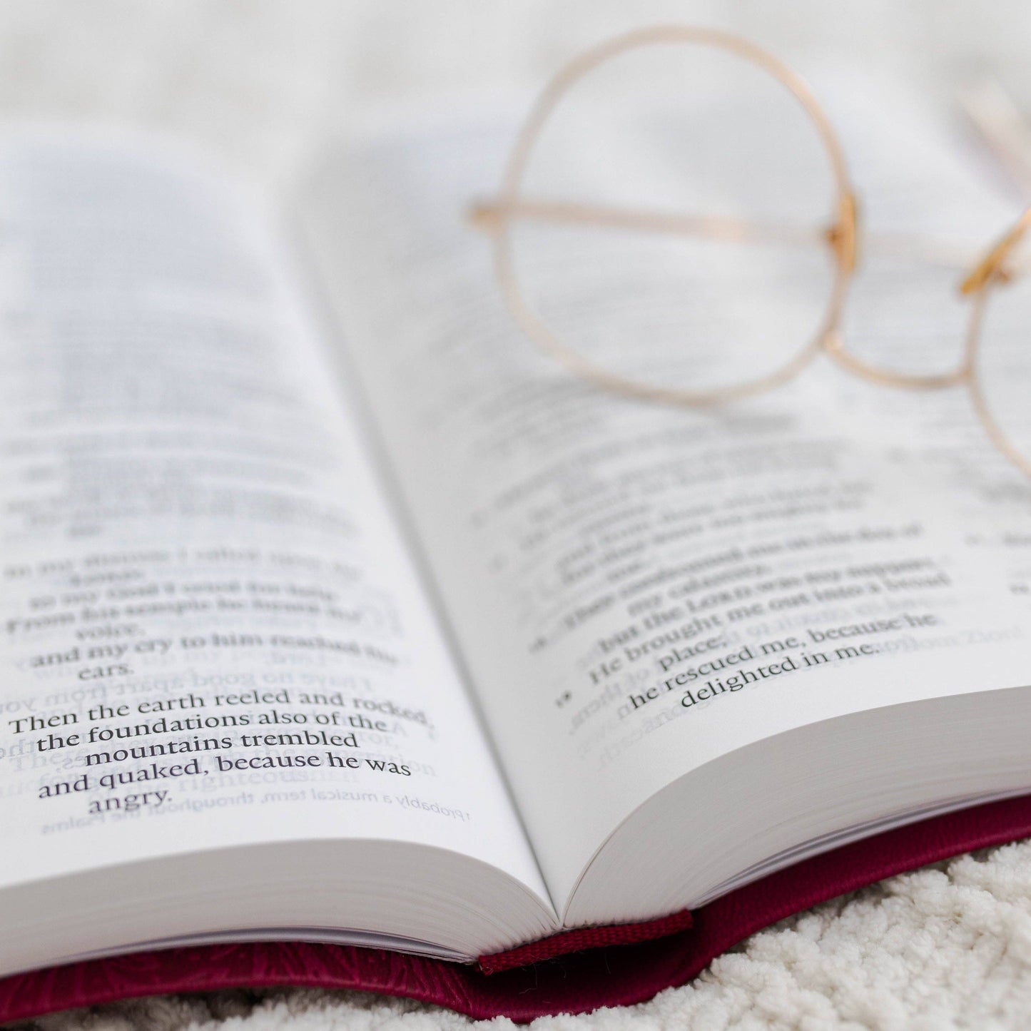 ESV Large Print Thinline Bible TruTone®, Raspberry Floral