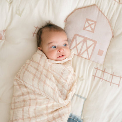 Farmhouse Goose/Check Swaddle Set